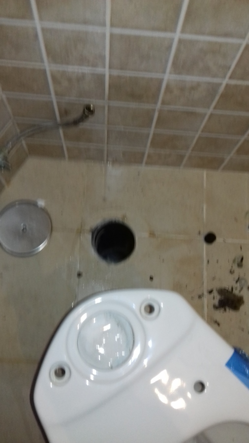 Colocando inodoro nuevo