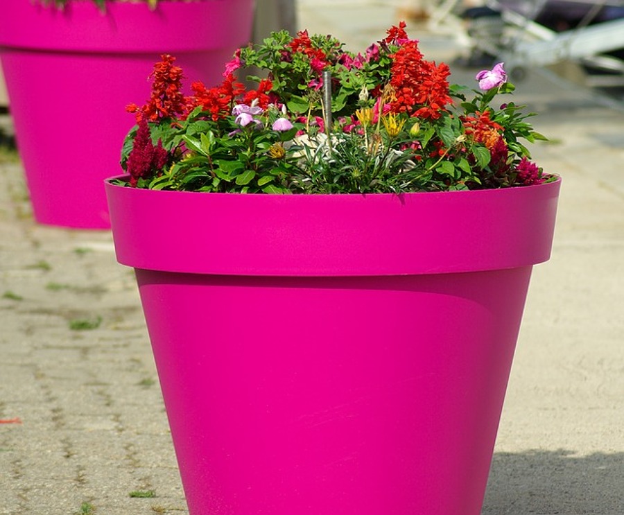 Combinación de Flor en exterior