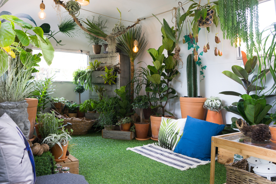 cómo hacer un jardín bonito y barato de interior