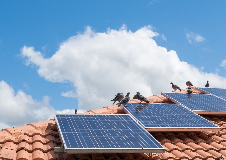 Cómo limpiar las placas solares