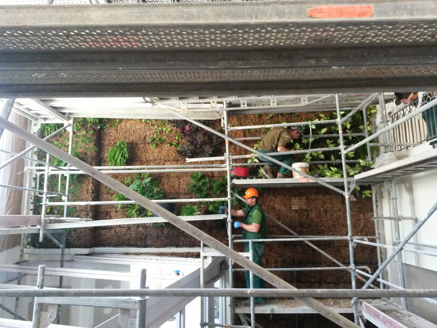 Colaboración con Despacho de Interiorismo de Hoteles para Aportación