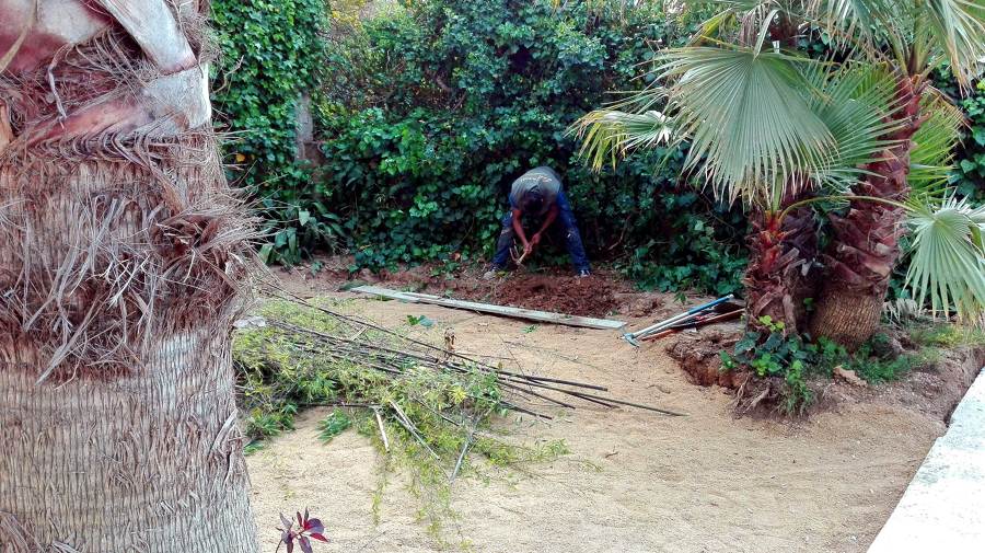 creación de arriates y poda de plantas