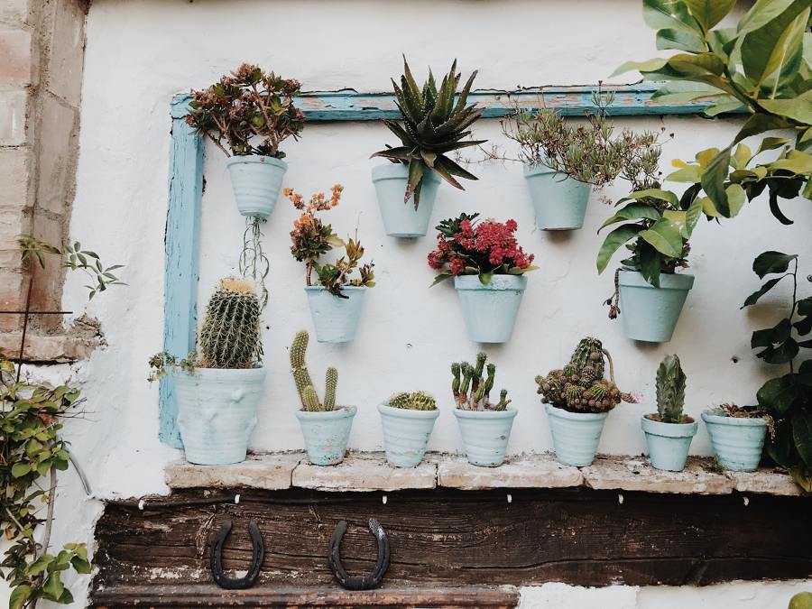 decora los jarrones de casa