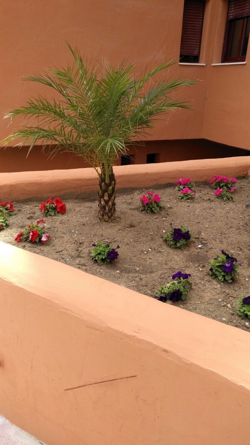 Decoracion de entrada garaje