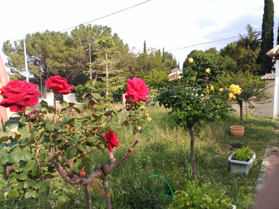 decoracion jardin
