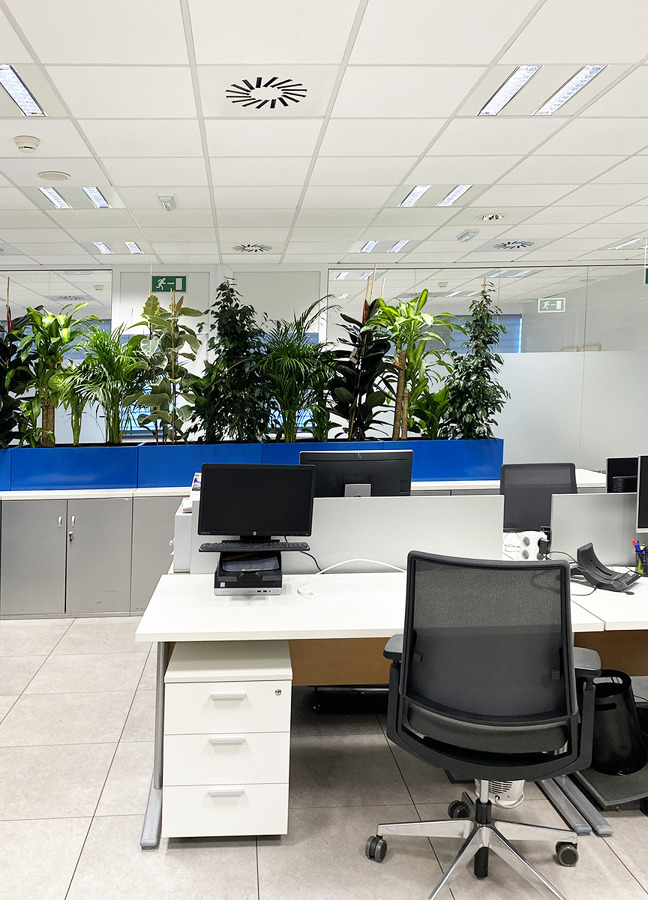 Decoración oficina