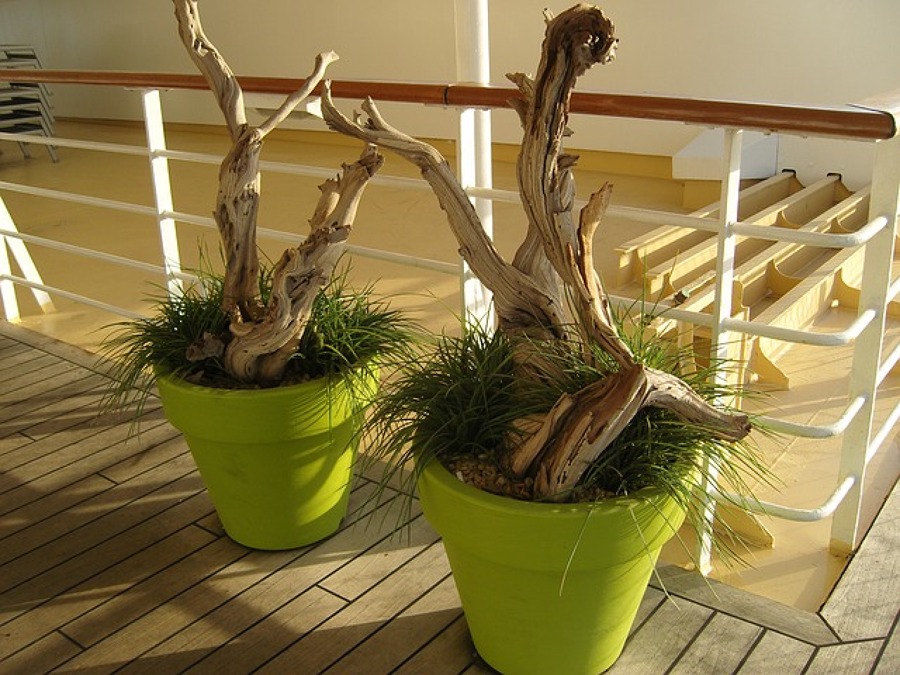 Decoración viva/inerte