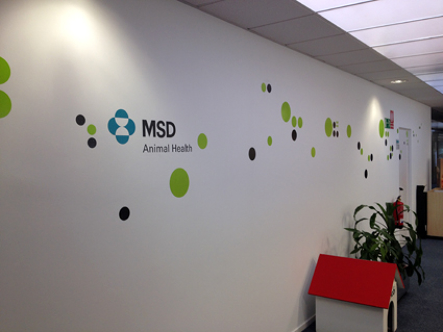 DECORAMOS OFICINAS