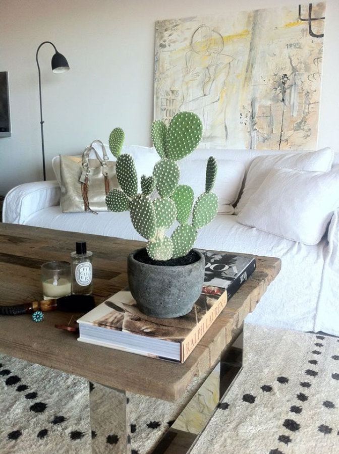 decorar con cactus