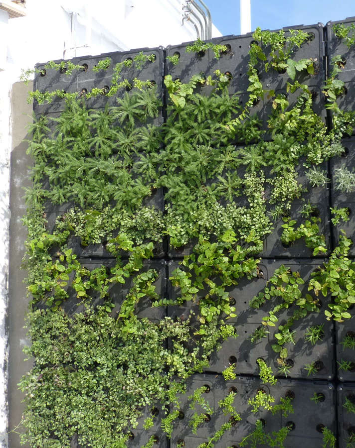 Jardín Vertical | Ideas Jardineros