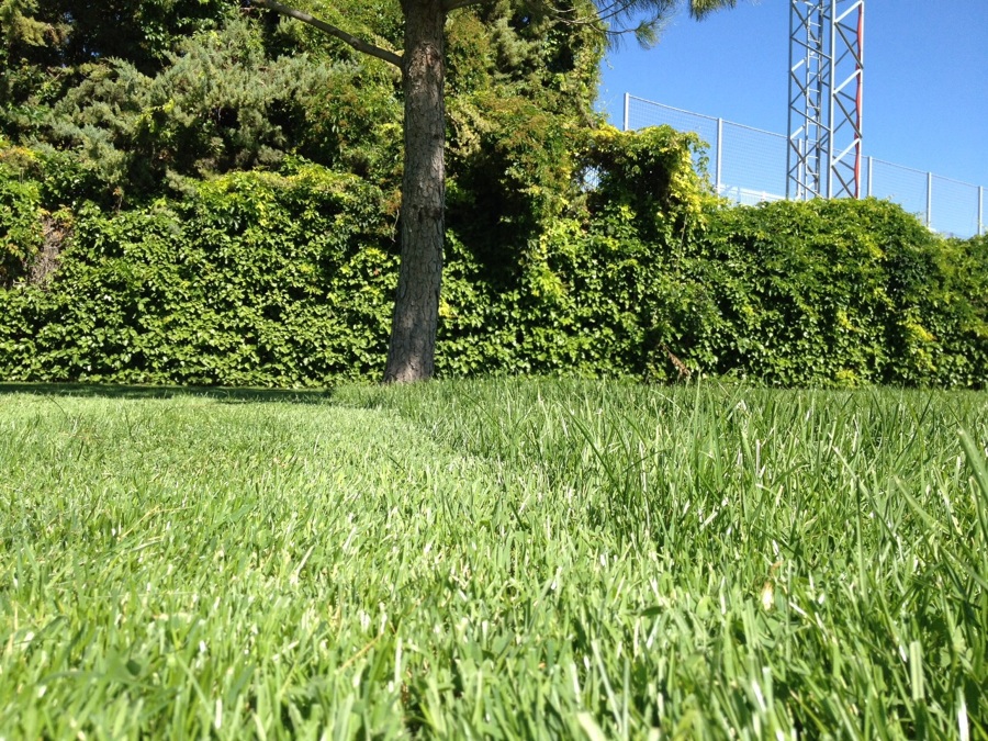 Foto: Jardin en un Dia de Lluvia de Velsinia Jardinería y + #1054006