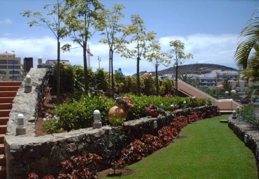 diseño