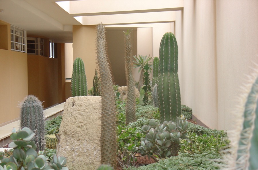 diseño