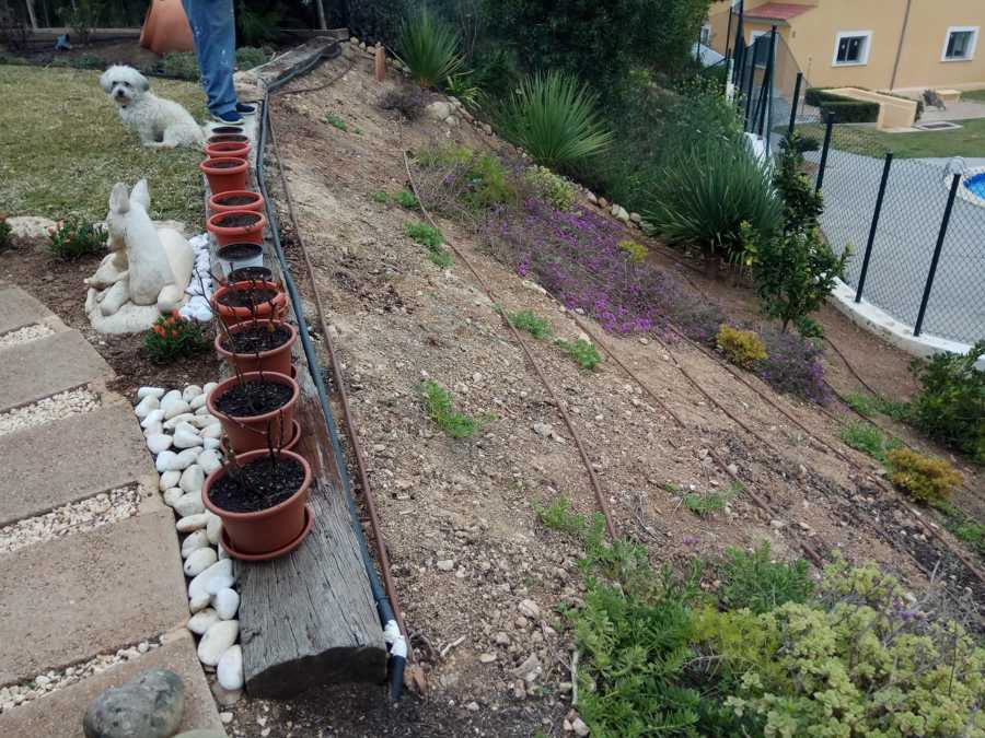 Diseño de jardín