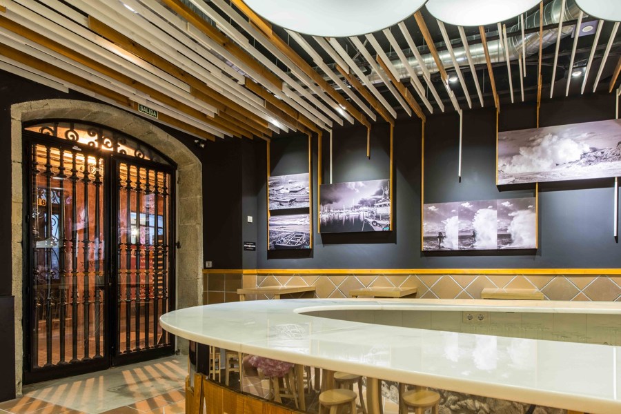 Foto: Árbol Colgado del Techo #808097 - Habitissimo