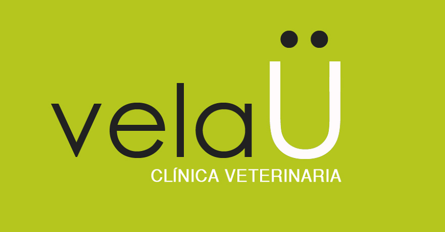 Diseño Logo 