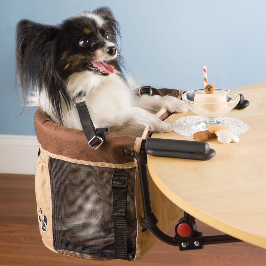 doggy-high-chair