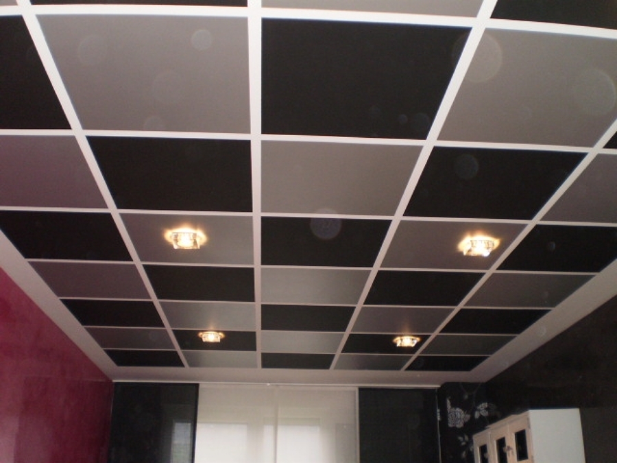 Domino plata-negro.