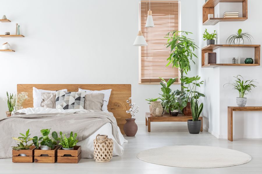 Dormitorio de estilo colonial con plantas