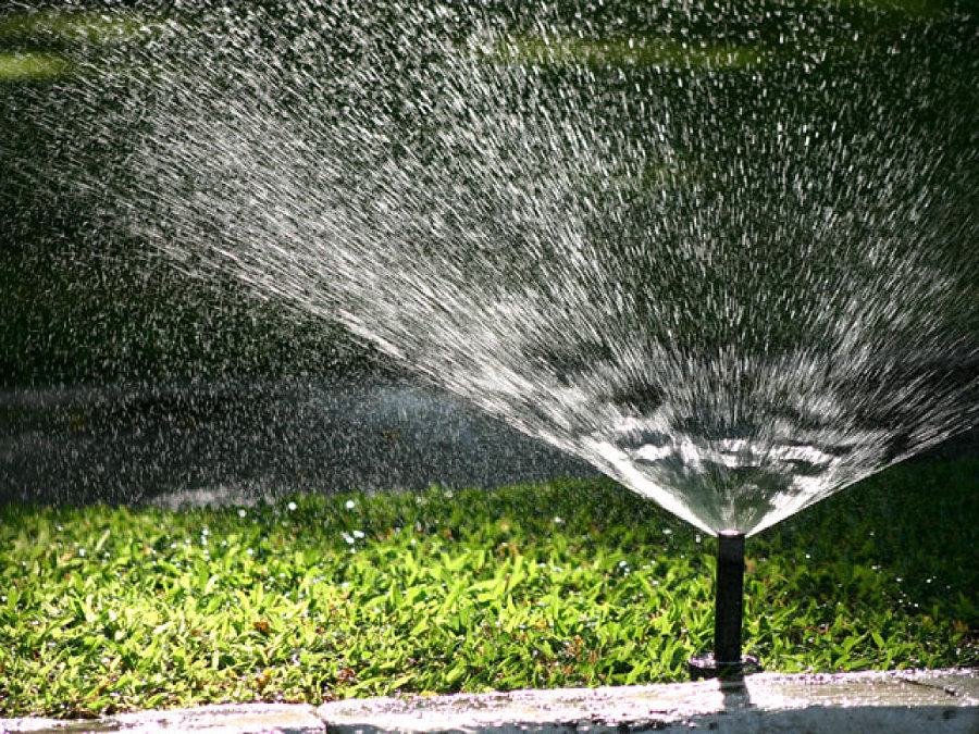 Cómo conseguir un Buen Drenaje en el Jardín | Ideas Jardineros
