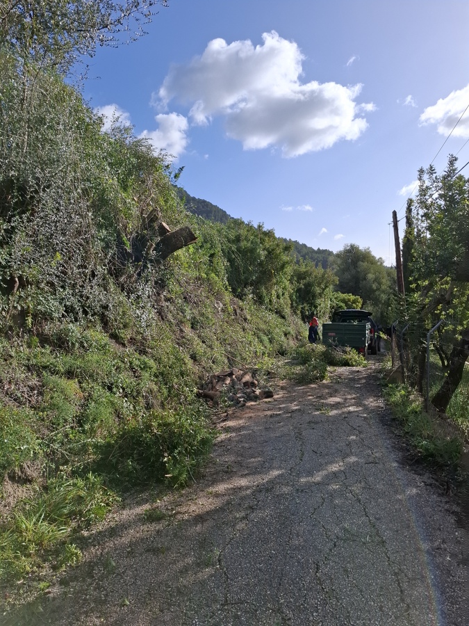 Durante el trabajo