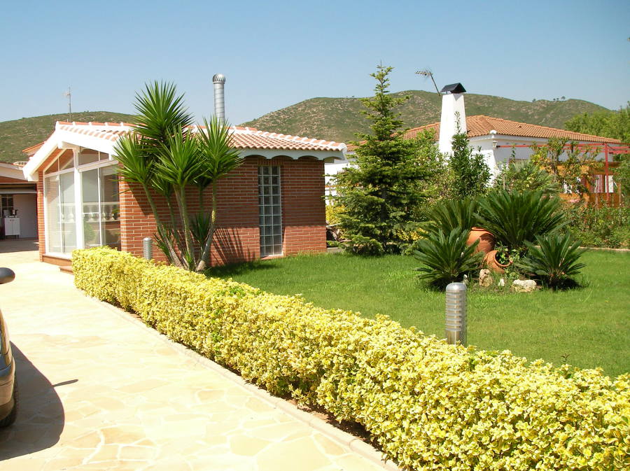 El Mirador