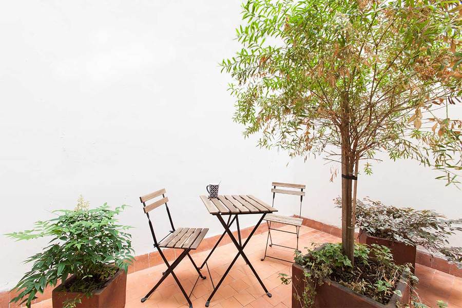 El patio