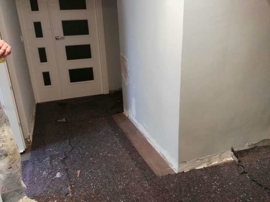 ENTRADA CON PROBLEMAS DE HUMEDAD