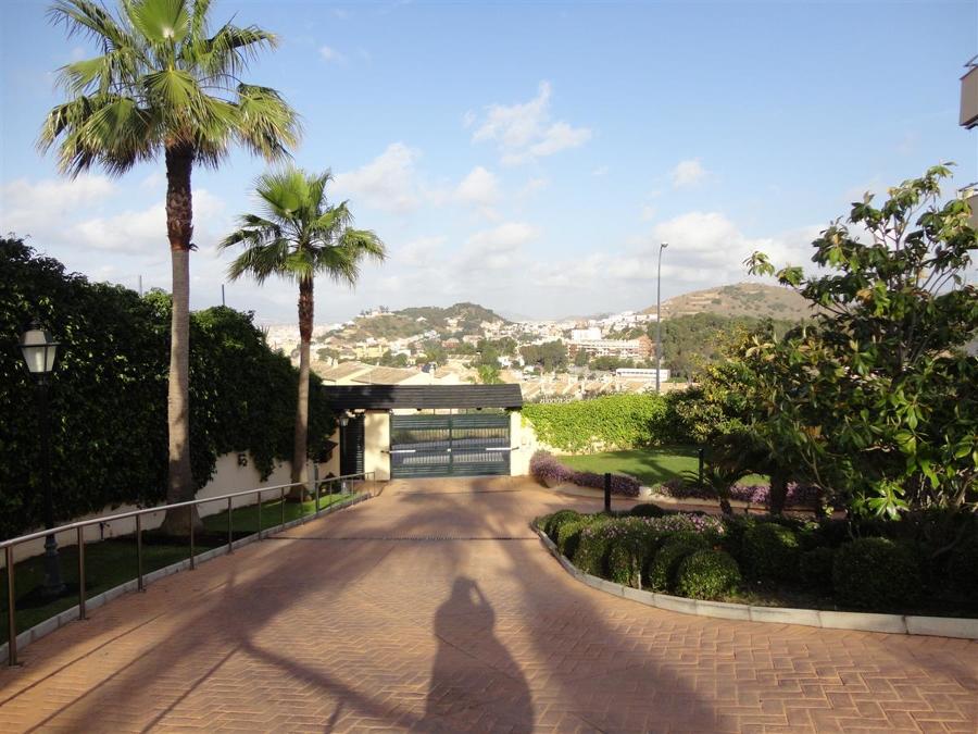Entrada vehículos y jardines