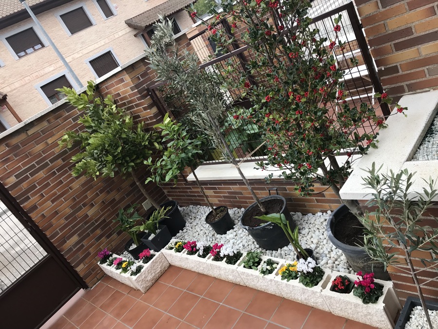 Entrada vivienda