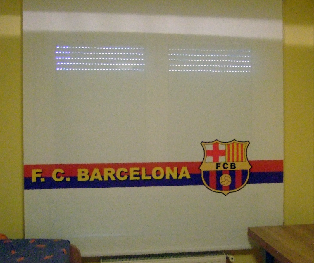 Escudo 2