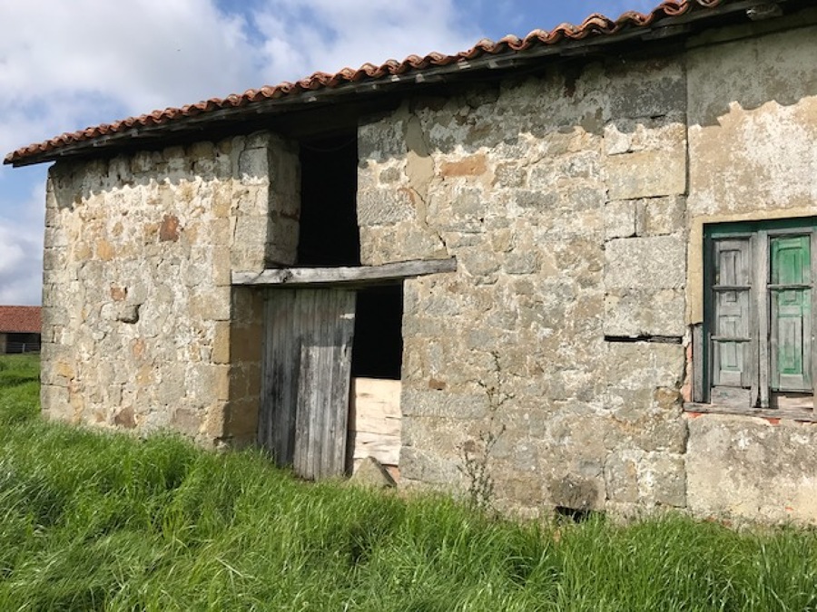 ESTADO ANTES DE RESTAURACIION