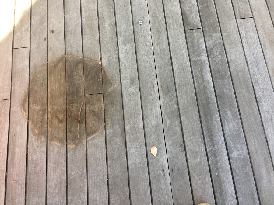 Estado inicial del pavimento con manchas de macetas
