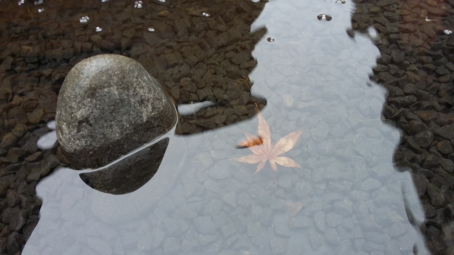 Estanque_reflejos