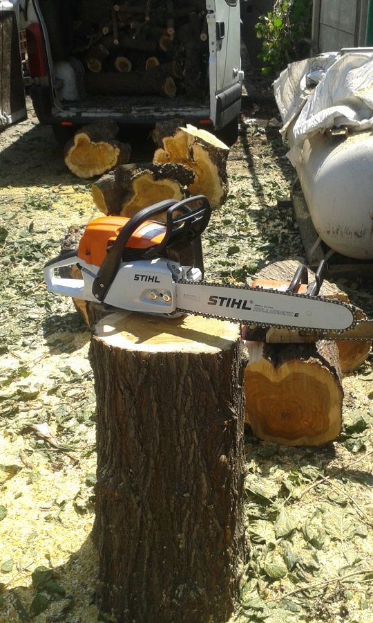 Fin del árbol cortando lo que queda del tronco