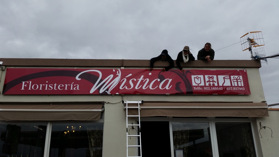 floristeria mistica remodelacion 