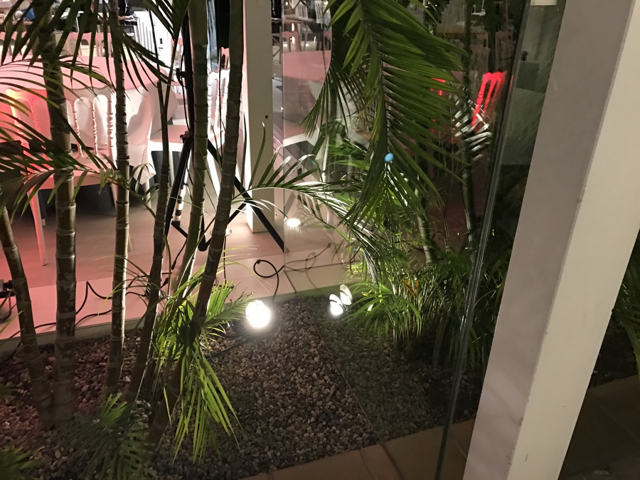 foco de jardin