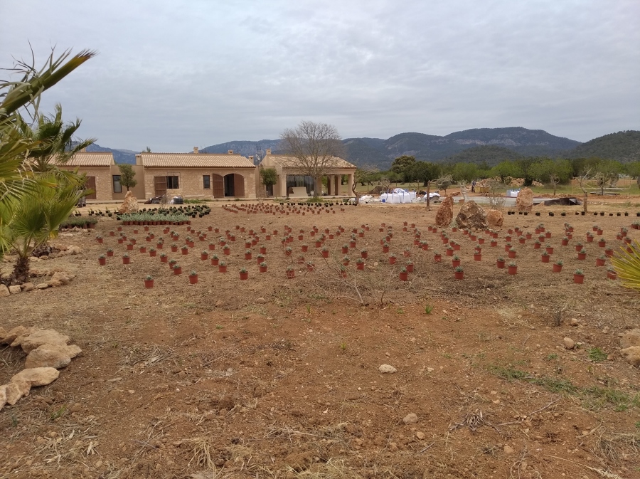 Fontanería y jardin