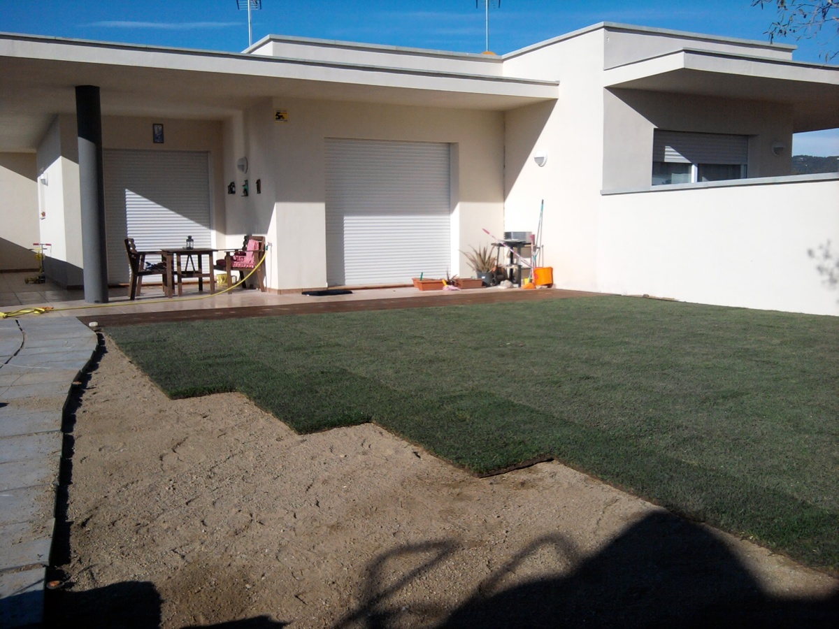 Foto0641