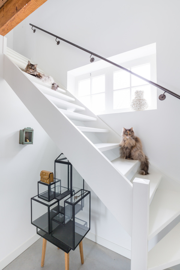 Escalera
