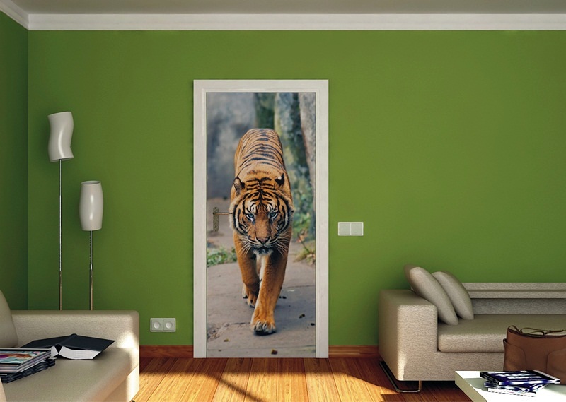 Fotomural de Puerta