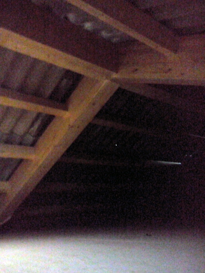fotos
