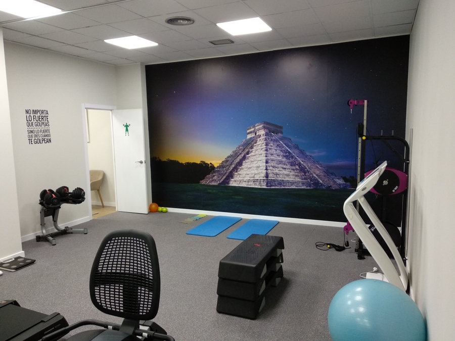 gimnasio