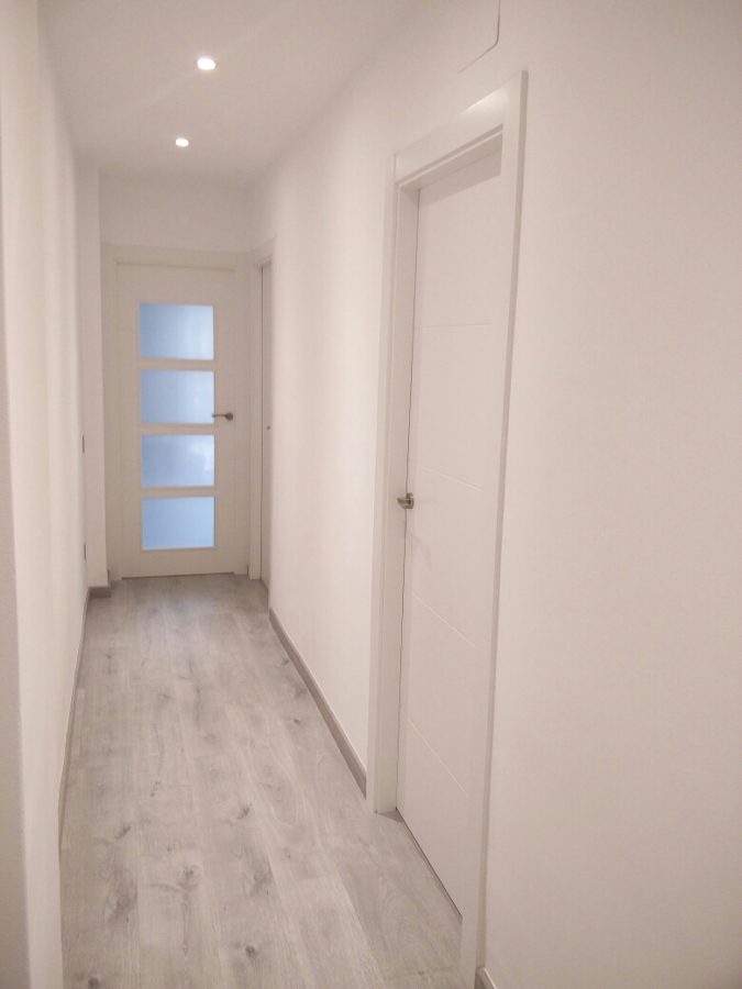 hall / pasillo
