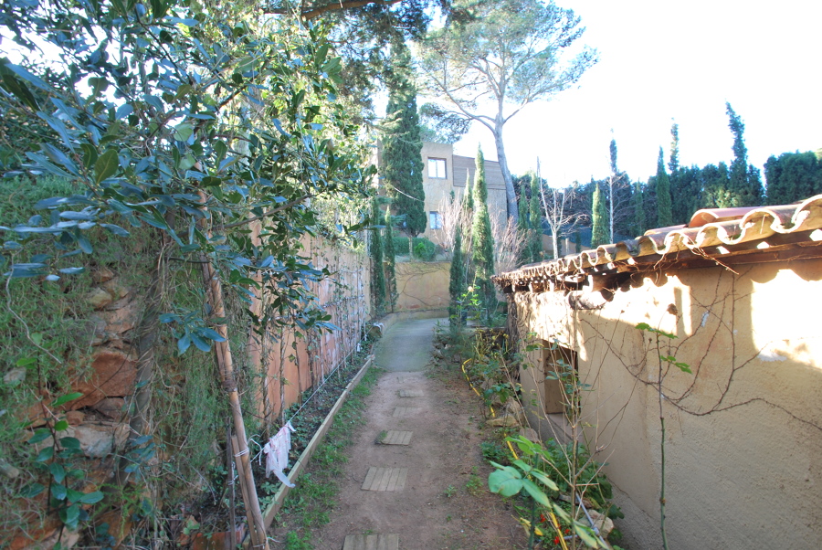 Huerto lateral