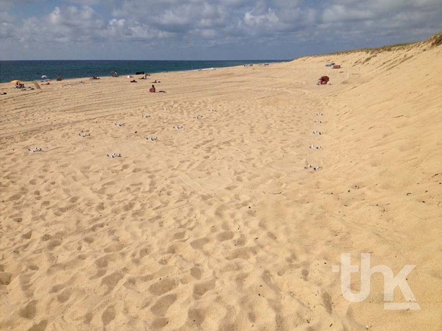 HURLEY SURF SCHOOL HOSSEGOR - THK Construcciones
