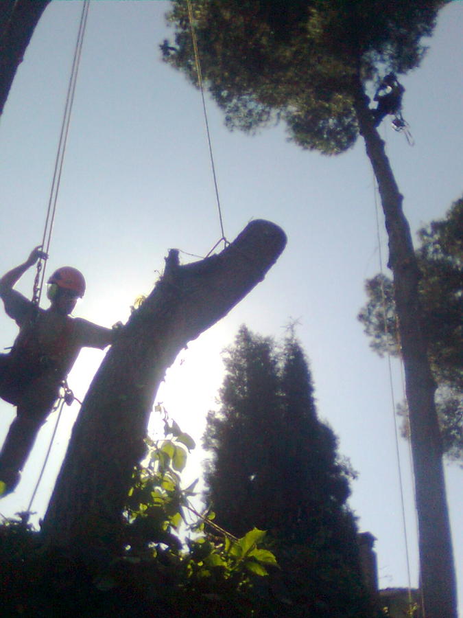 Imagen0332