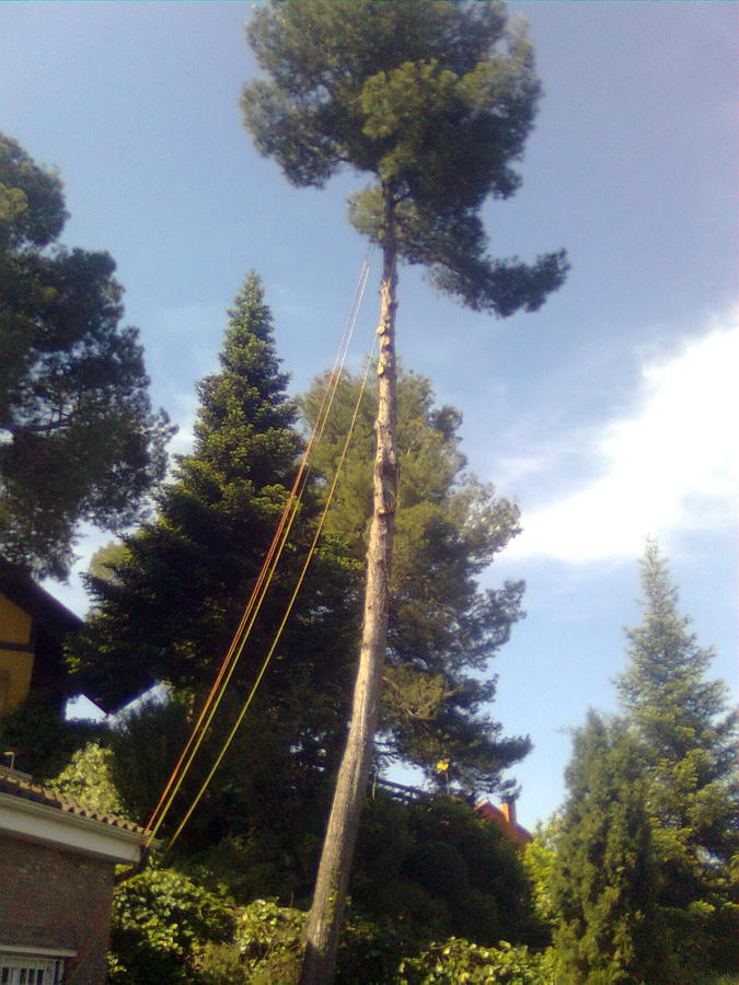 Imagen0334