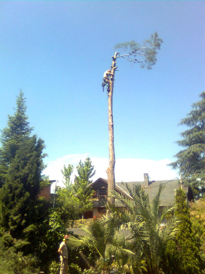 Imagen0344