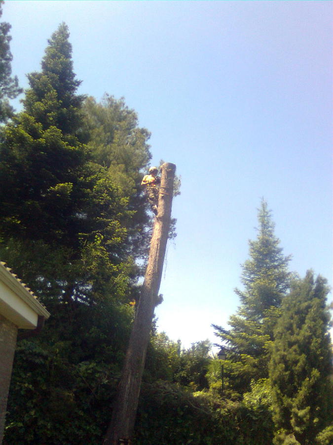 Imagen0345